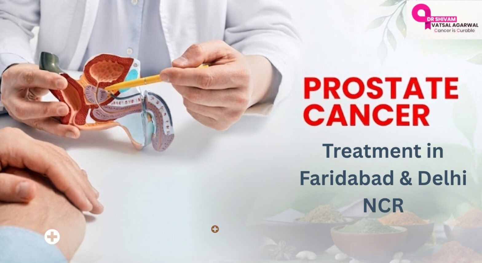 Prostate Cancer Treatment